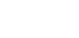Black Women's Health Imperative Footer Logo