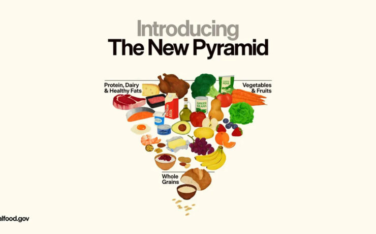 Food Pyramid